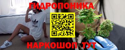прущие крисы Заводоуковск