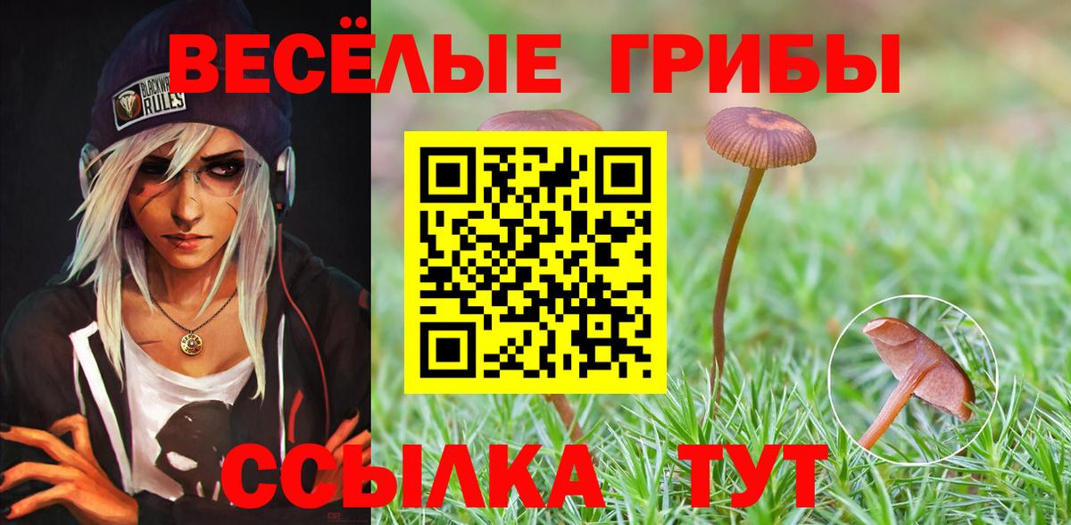 Лыткарино  Псилоцибиновые грибы MAGIC MUSHROOMS  Вход с VPN 