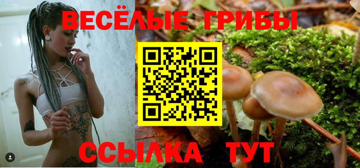 Псилоцибиновые грибы Magic Shrooms Лыткарино